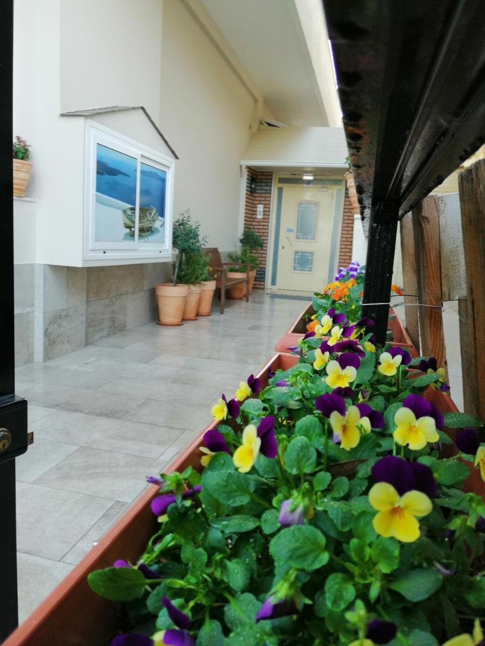 Giorgos Apartments Sea View Olympiaki Akti Exterior photo
